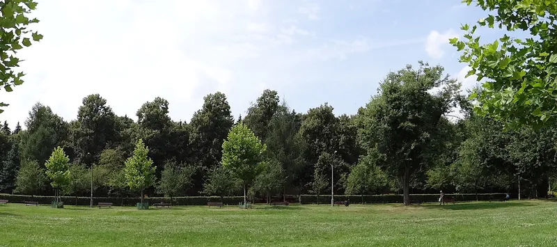 area: Wola. Photo 2 of 4