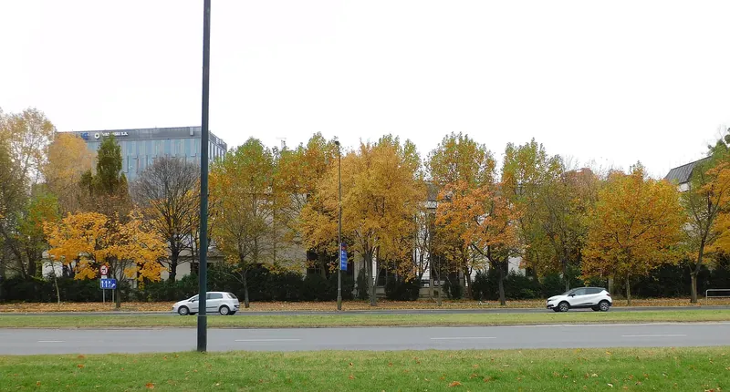 area: Wola. Photo 4 of 4